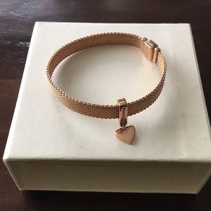 Pandora Reflections bracelet
